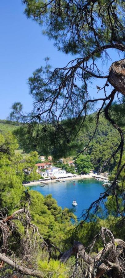 Skopelos Country House Diamantis & Chrisi Agnontas Екстериор снимка